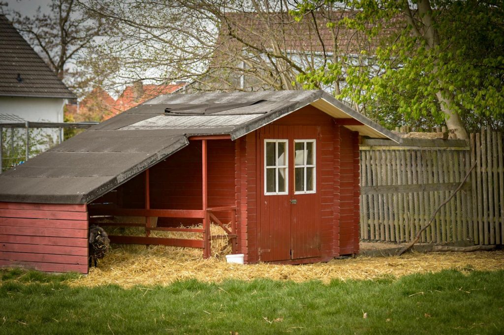 Unsere Tiere im Kindergarten